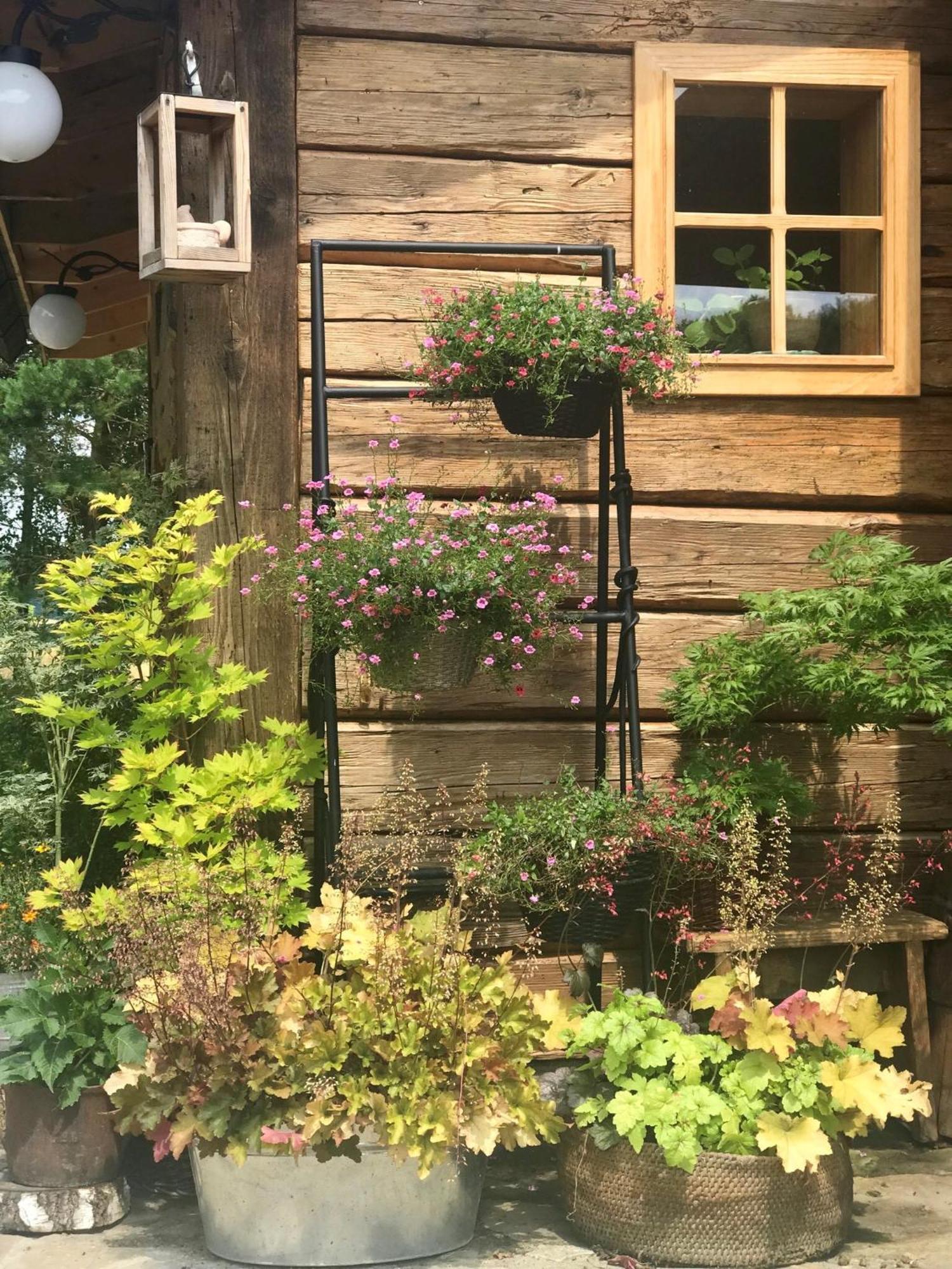 Maciejewka Villa Zahoczewie Exteriör bild