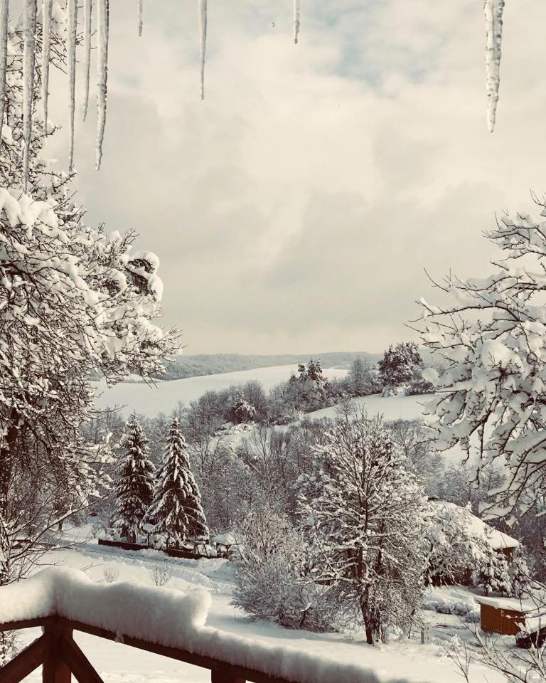 Maciejewka Villa Zahoczewie Exteriör bild