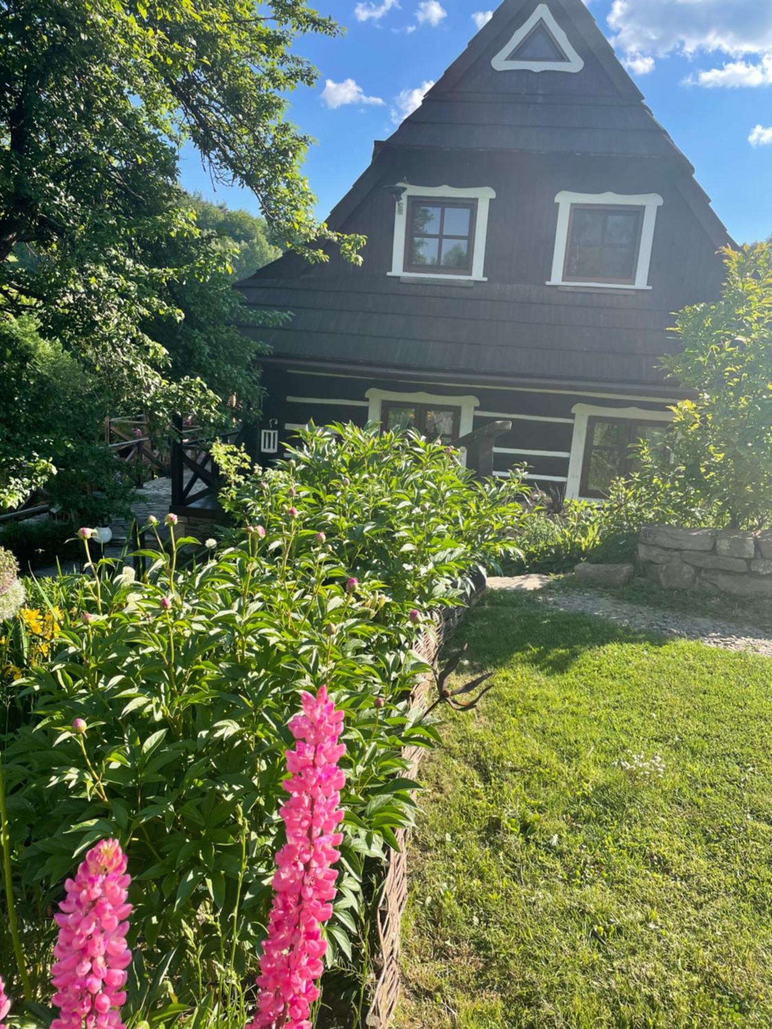 Maciejewka Villa Zahoczewie Exteriör bild