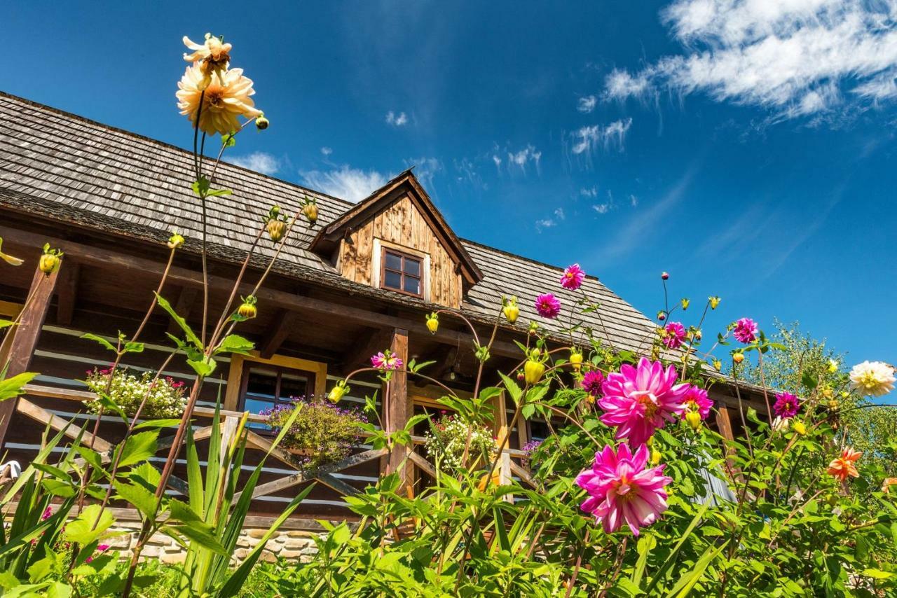 Maciejewka Villa Zahoczewie Exteriör bild
