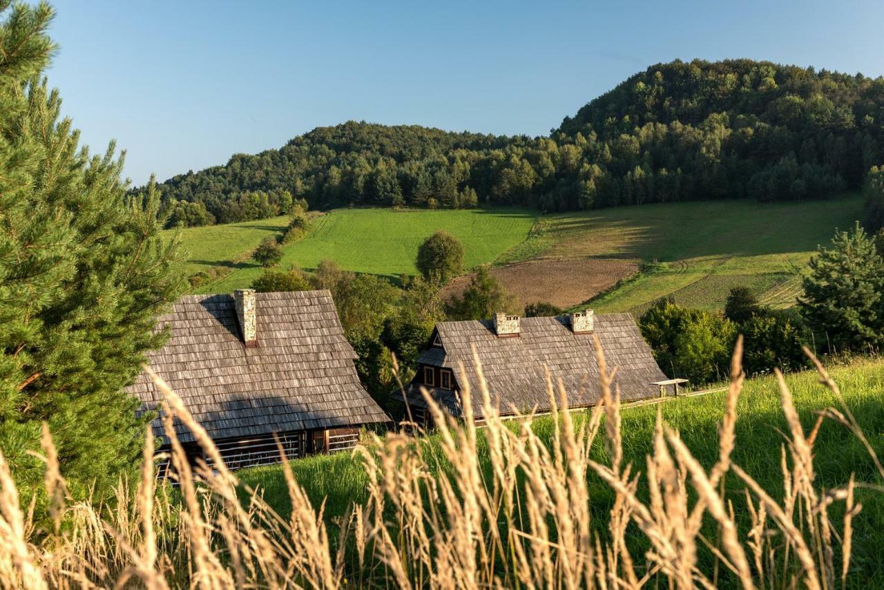 Maciejewka Villa Zahoczewie Exteriör bild